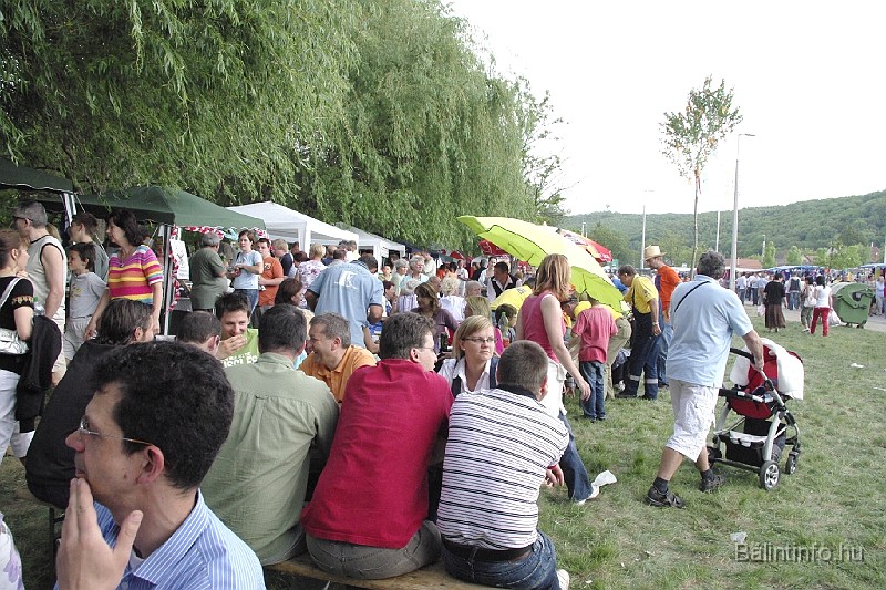 varosi_majalis_2009_0097.jpg