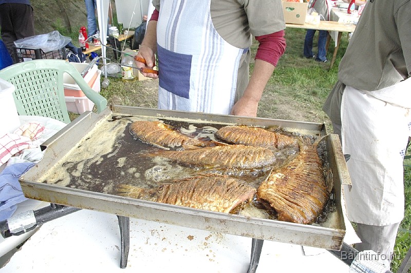 varosi_majalis_2009_0103.jpg
