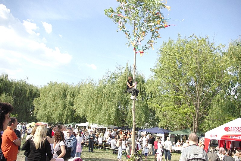 varosi_majalis_2009_0124.jpg