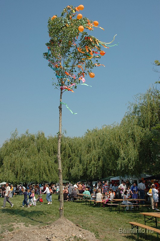 varosi_majalis_2009_0216.jpg