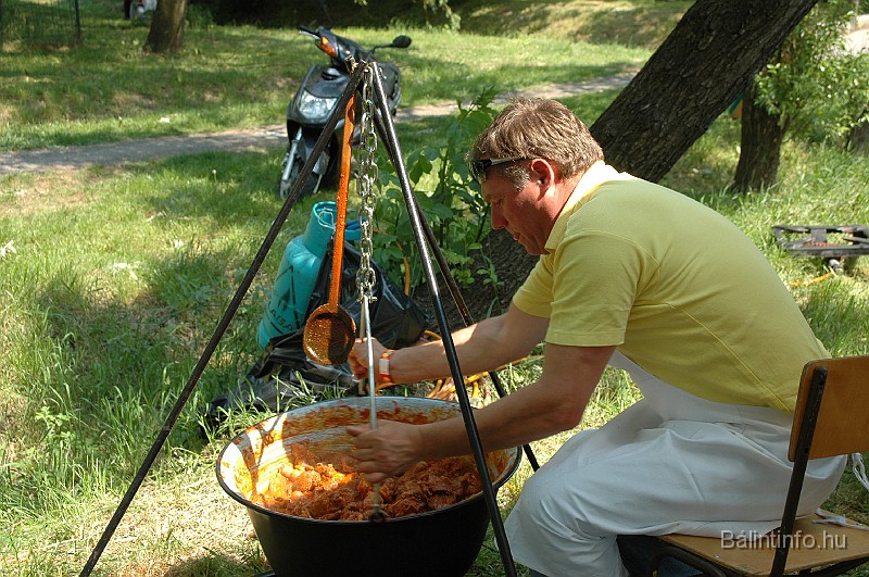 varosi_majalis_2009_0224.jpg