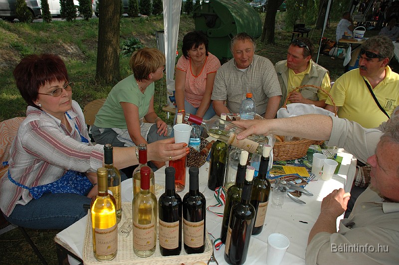 varosi_majalis_2009_0292.jpg