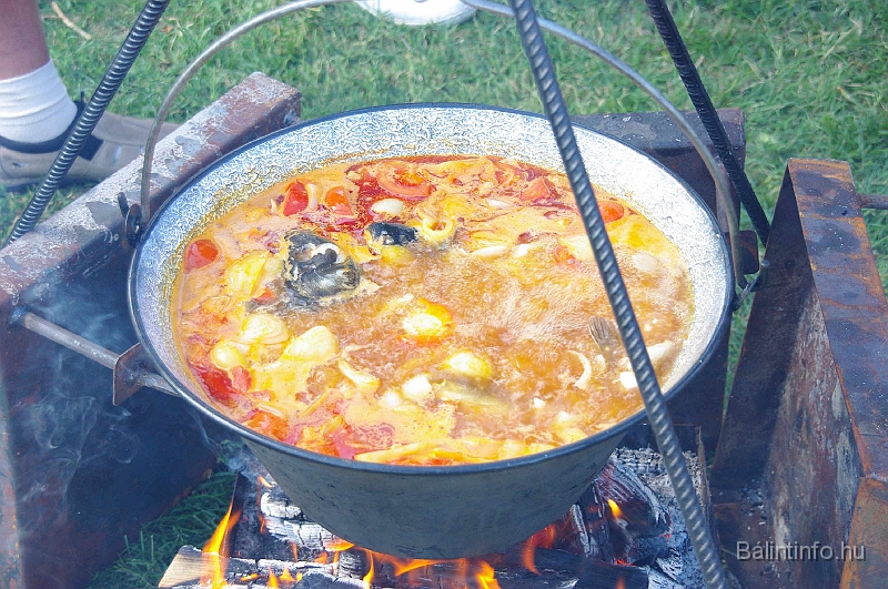 negyedi_meghivas_2009_095.jpg