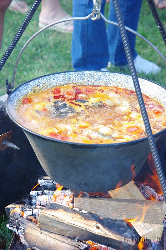negyedi_meghivas_2009_096.jpg