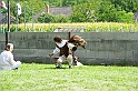 negyedi_meghivas_2009_036