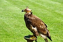 negyedi_meghivas_2009_038