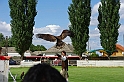 negyedi_meghivas_2009_054