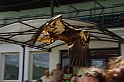 negyedi_meghivas_2009_055