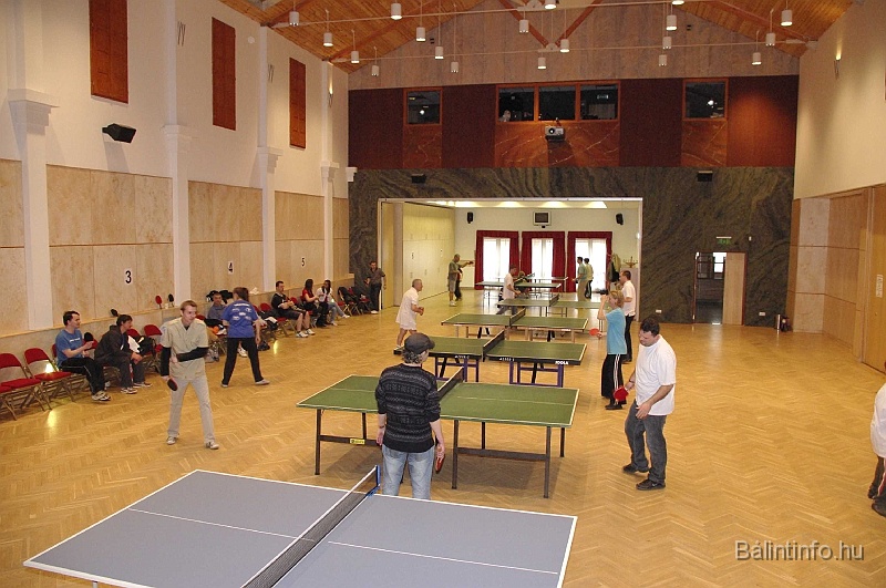 pinpongbajnoksag_2009_002.jpg