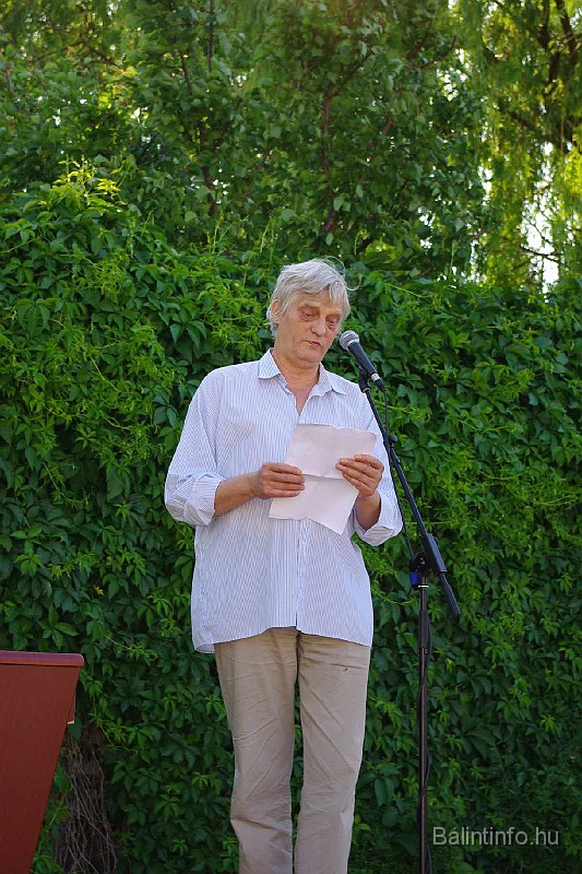 sokmuveszetifesztival_077.jpg