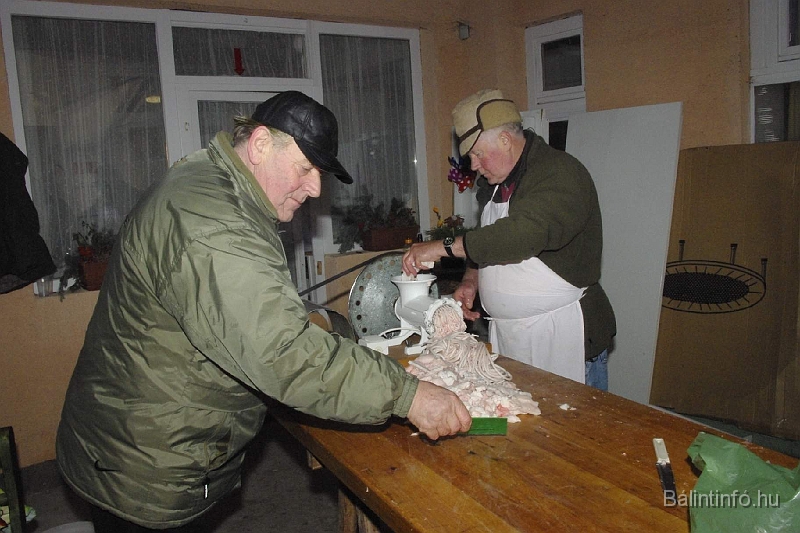 svabdisznotoros_06.jpg