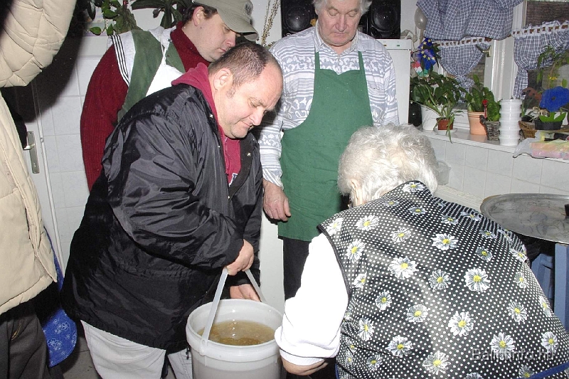 svabdisznotoros_55.jpg