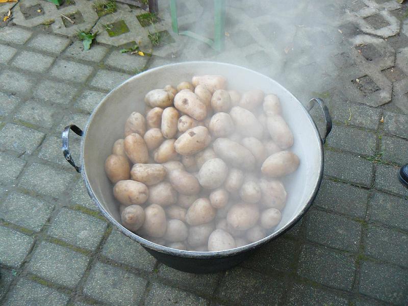 szekelykapu_vilagitas_2008_41.jpg