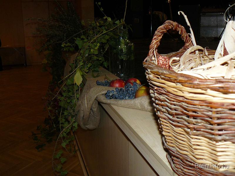 szuretibal_2008_001.jpg