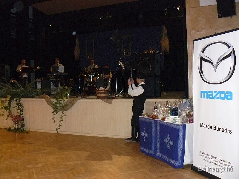 szuretibal_2008_011.jpg