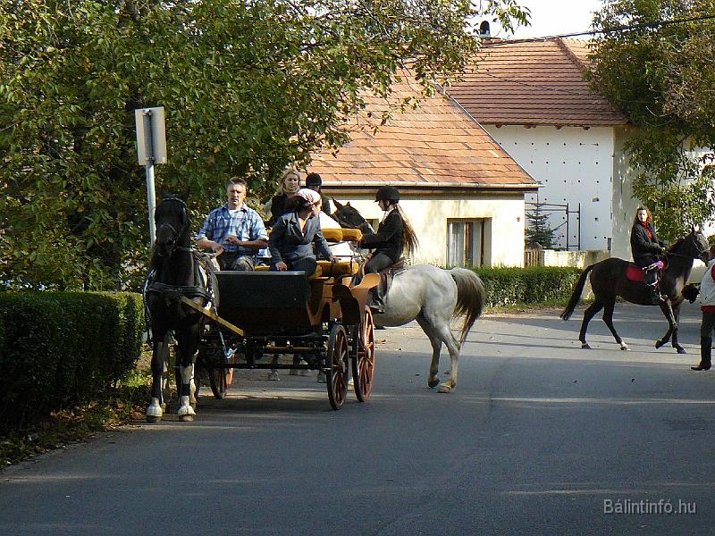szuretifelvonulas_2008_027.jpg