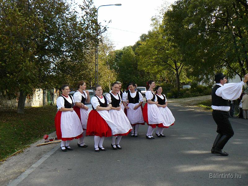 szuretifelvonulas_2008_044.jpg