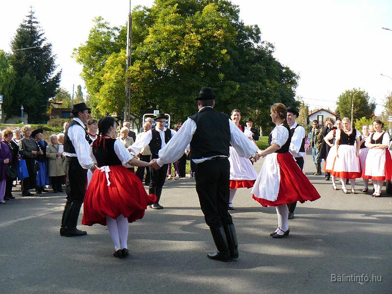 szuretifelvonulas_2008_047.jpg