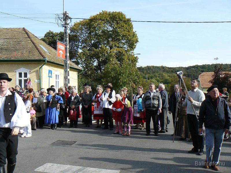 szuretifelvonulas_2008_071.jpg
