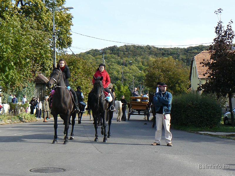 szuretifelvonulas_2008_075.jpg