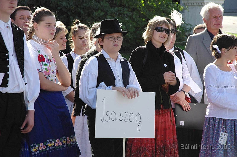 szuretibal_2009_007.jpg