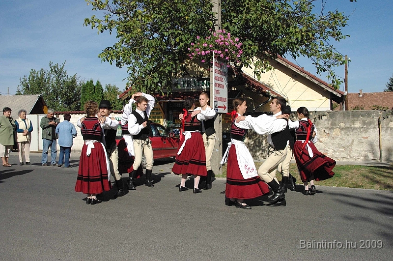 szuretibal_2009_014.jpg