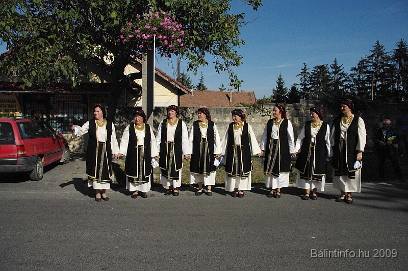 szuretibal_2009_025.jpg