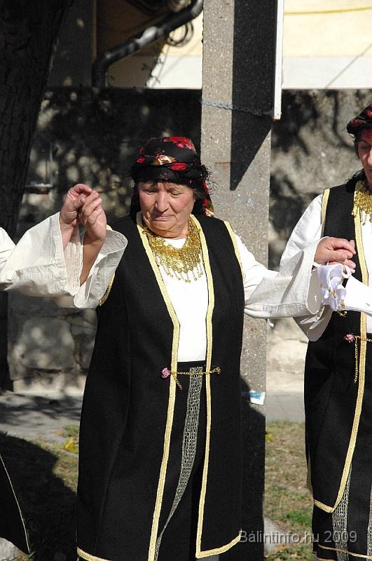 szuretibal_2009_027.jpg