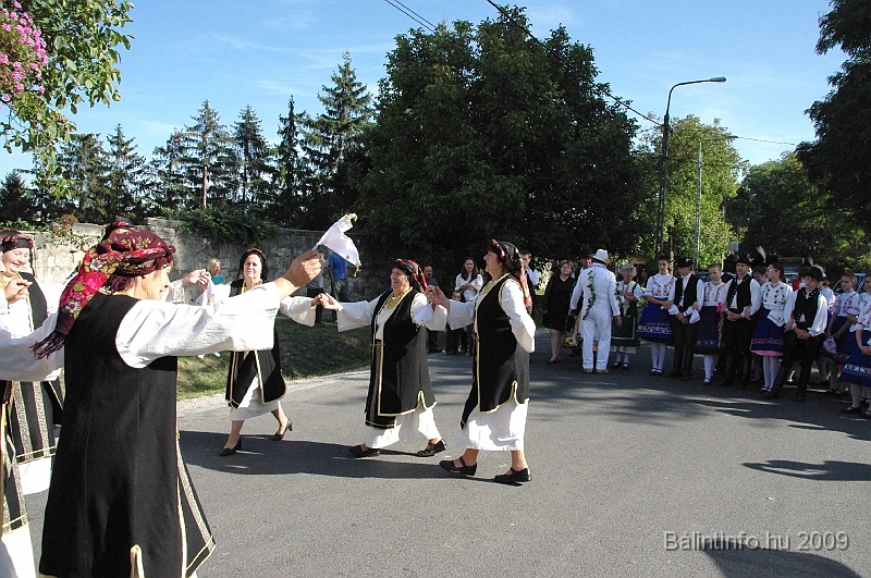 szuretibal_2009_029.jpg