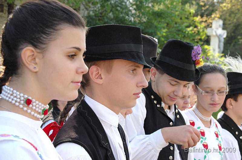 szuretibal_2009_031.jpg