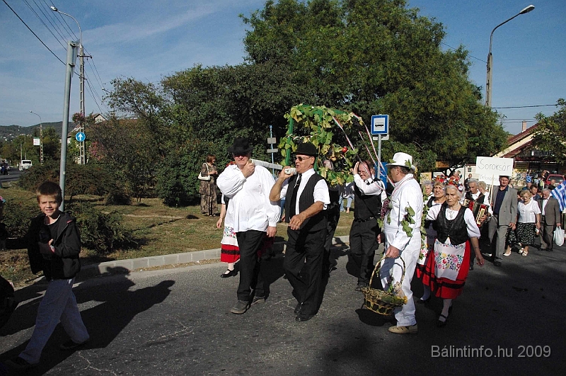 szuretibal_2009_035.jpg