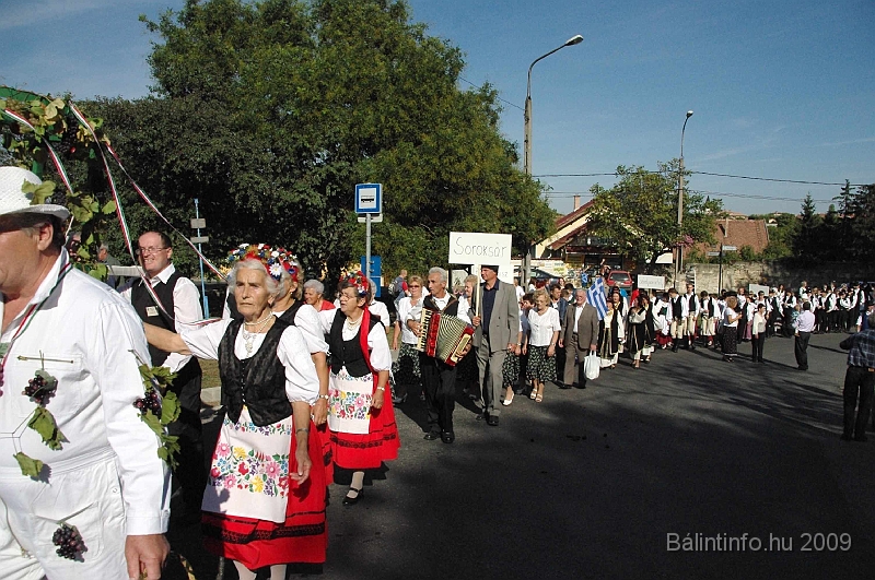 szuretibal_2009_036.jpg