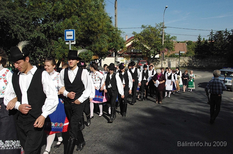 szuretibal_2009_042.jpg