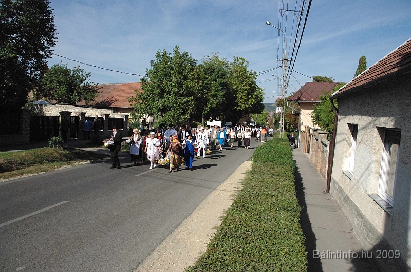 szuretibal_2009_048.jpg
