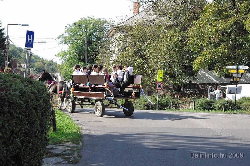 szuretibal_2009_049.jpg