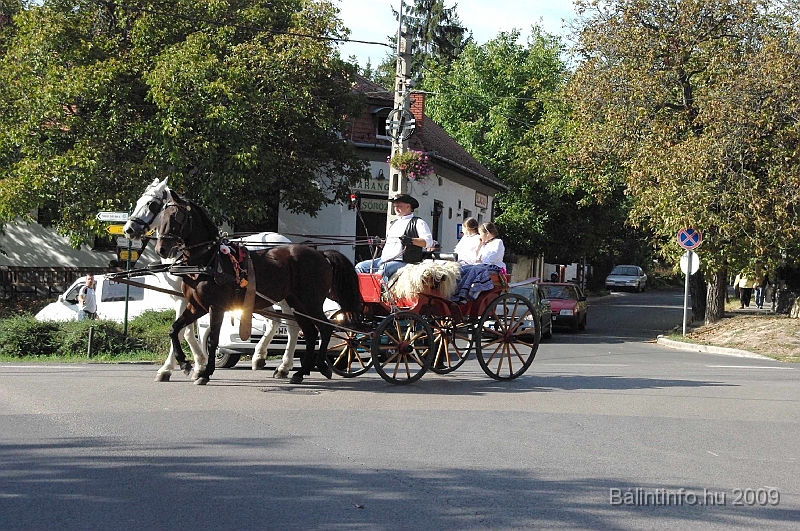 szuretibal_2009_050.jpg