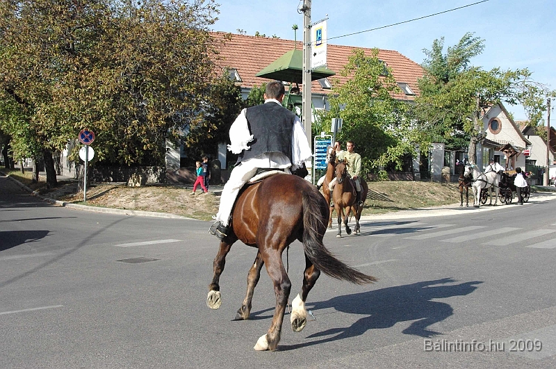szuretibal_2009_051.jpg