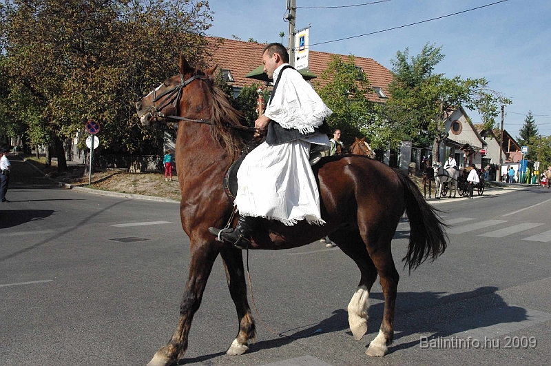 szuretibal_2009_052.jpg