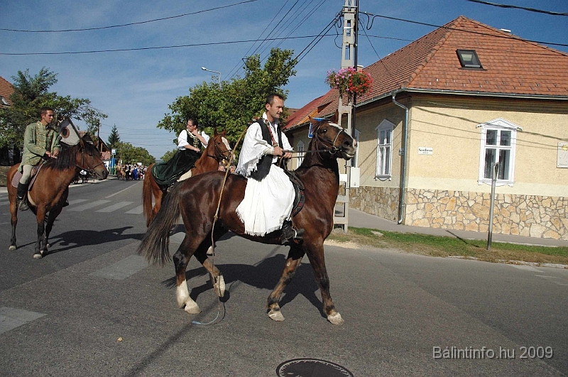 szuretibal_2009_053.jpg