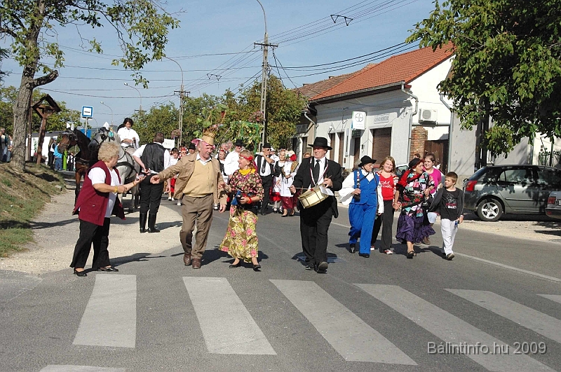 szuretibal_2009_055.jpg