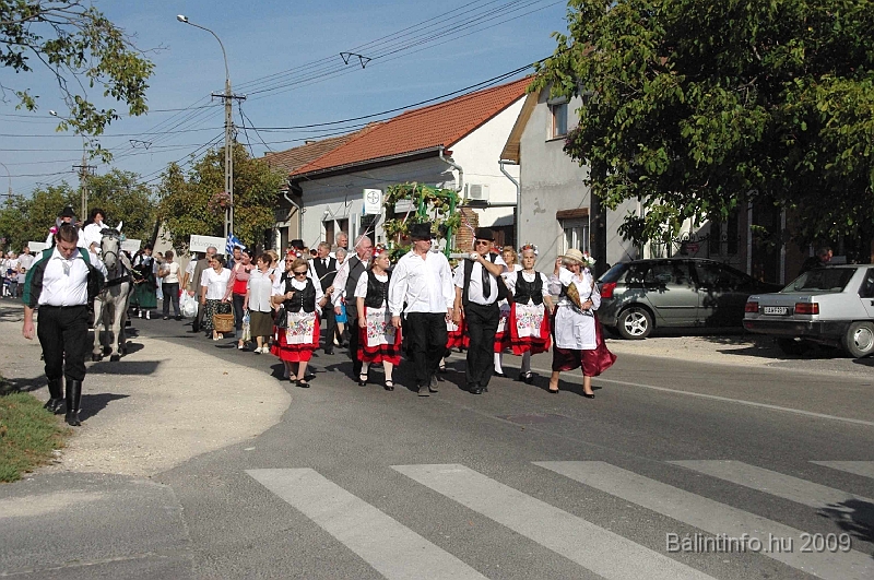 szuretibal_2009_056.jpg