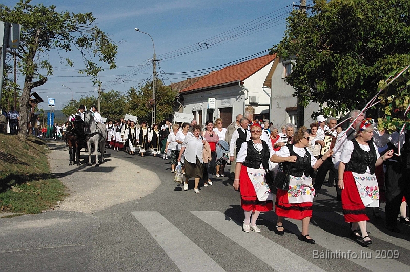 szuretibal_2009_057.jpg