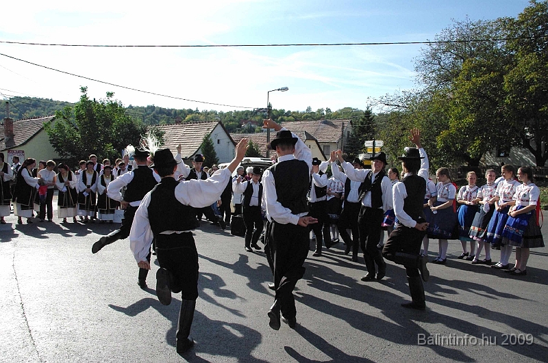 szuretibal_2009_067.jpg