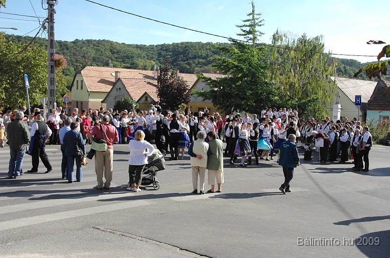 szuretibal_2009_075.jpg