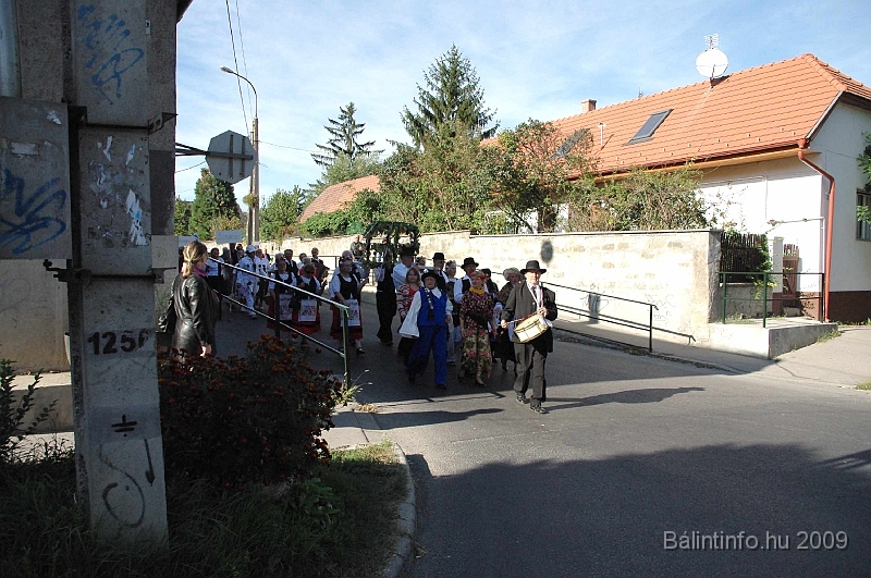szuretibal_2009_088.jpg