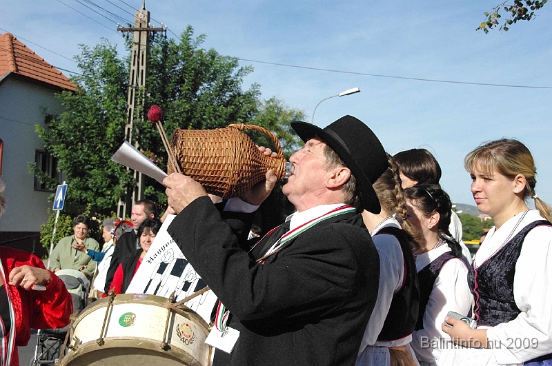 szuretibal_2009_092.jpg