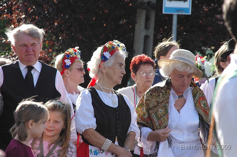 szuretibal_2009_094.jpg
