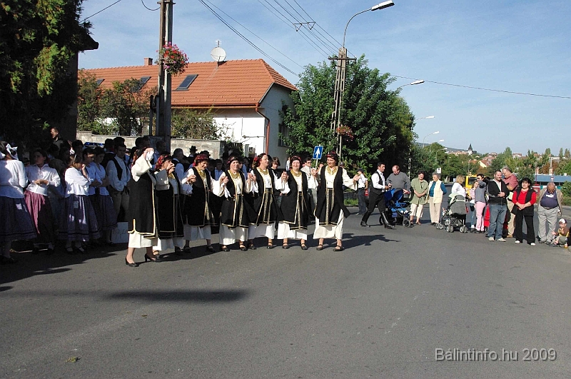 szuretibal_2009_096.jpg