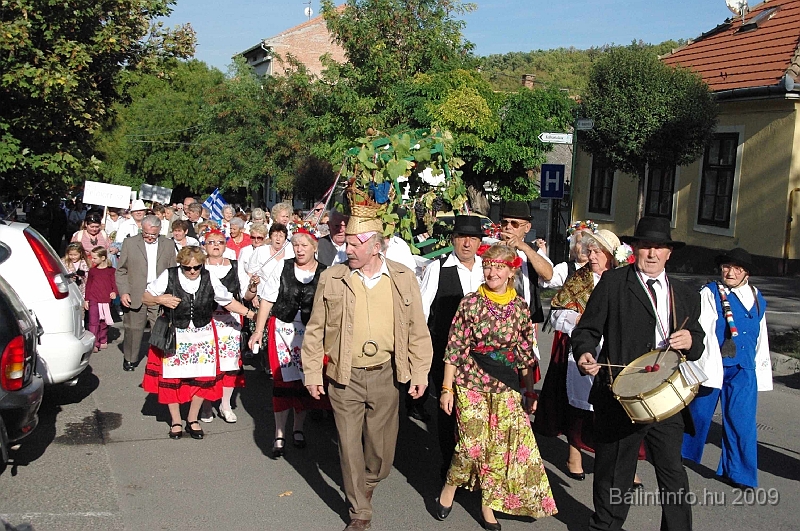 szuretibal_2009_106.jpg