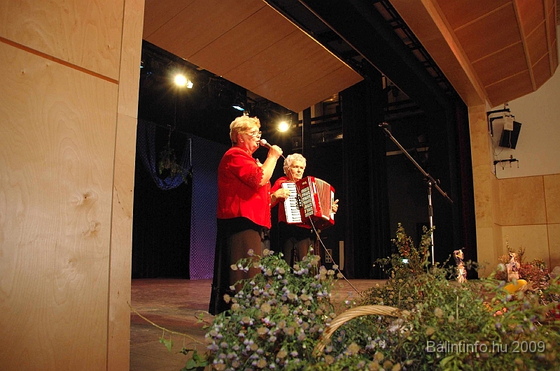 szuretibal_2009_127.jpg